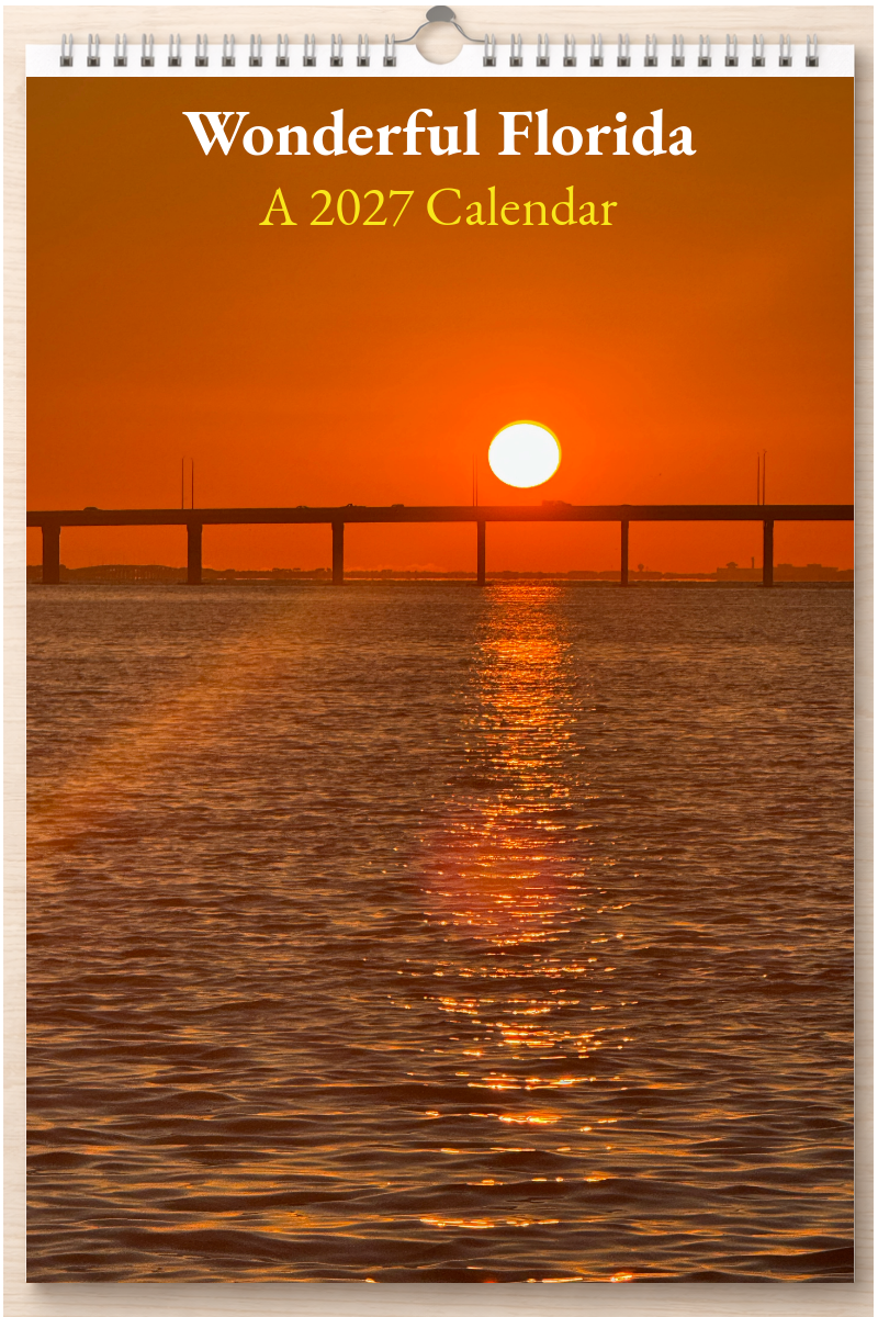 Wonderful Florida: A 2027 Calendar