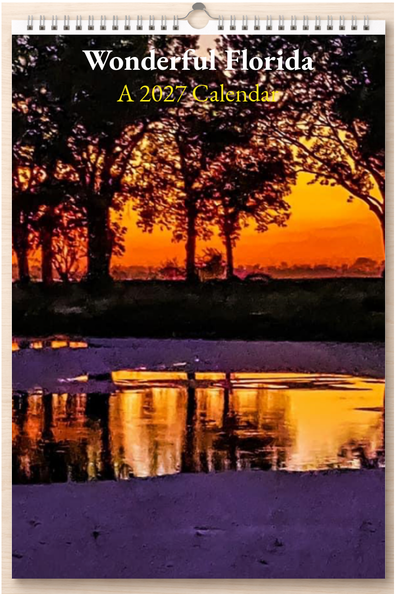Wonderful Florida: A 2027 Calendar