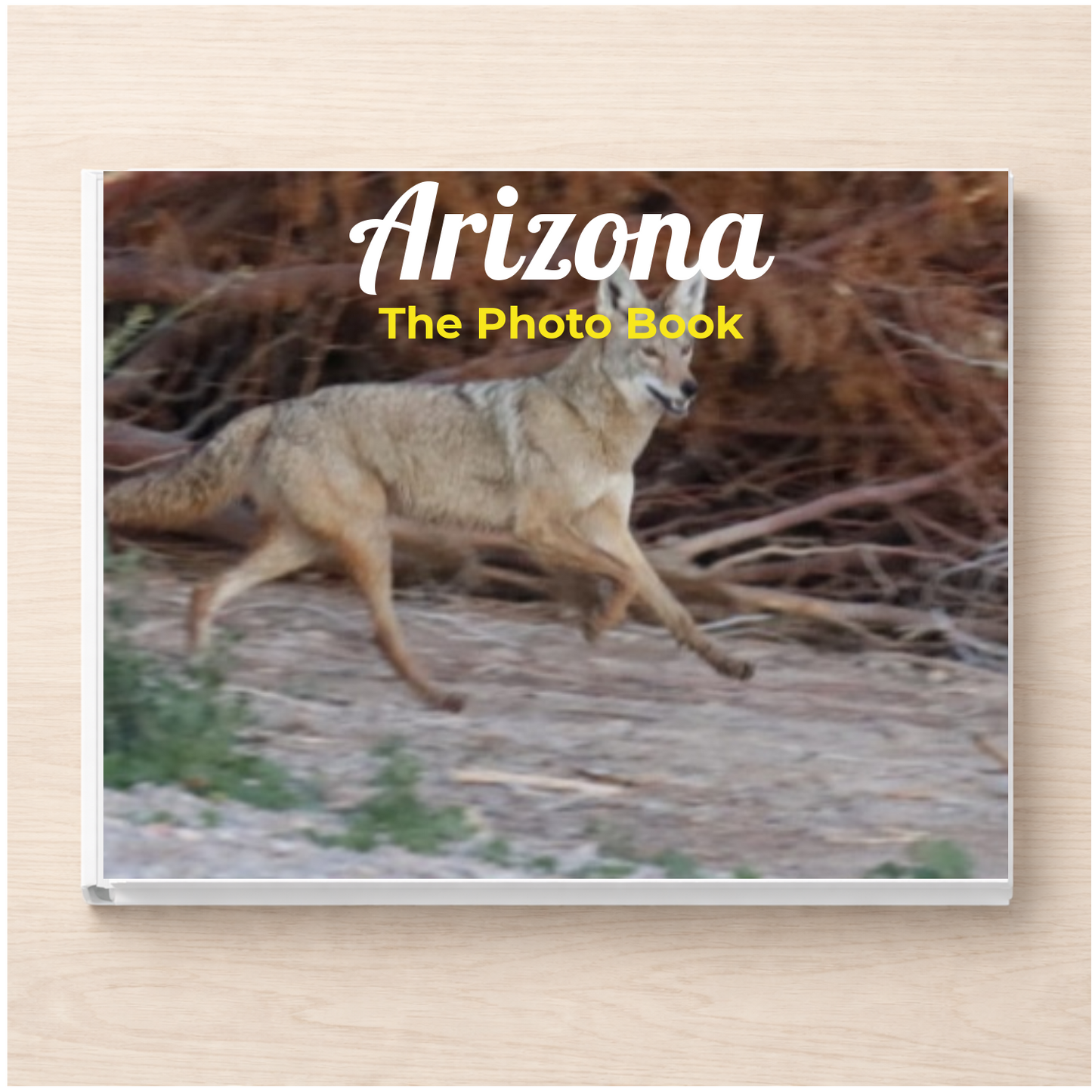 Arizona: The Photo Book