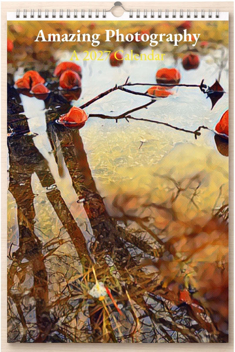 Amazing Photography: A 2027 Calendar