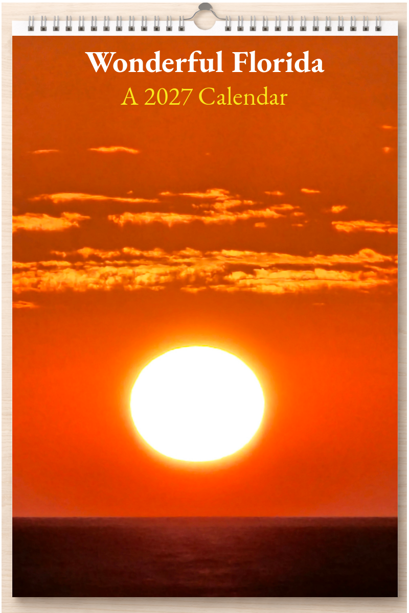 Wonderful Florida: A 2027 Calendar