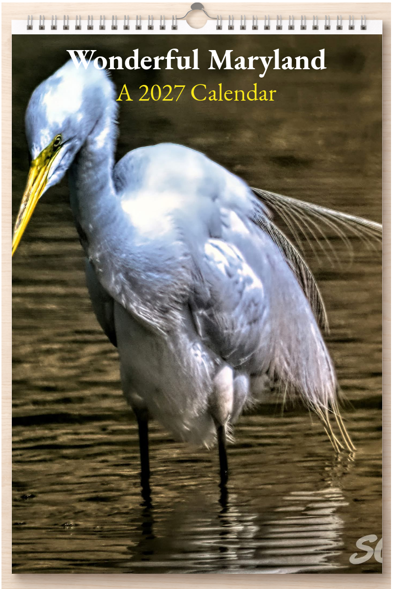 Wonderful Maryland: A 2027 Calendar