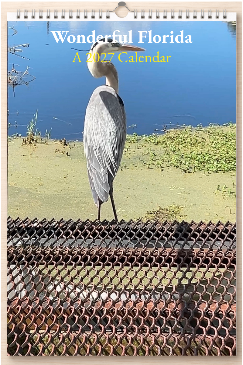 Wonderful Florida: A 2027 Calendar