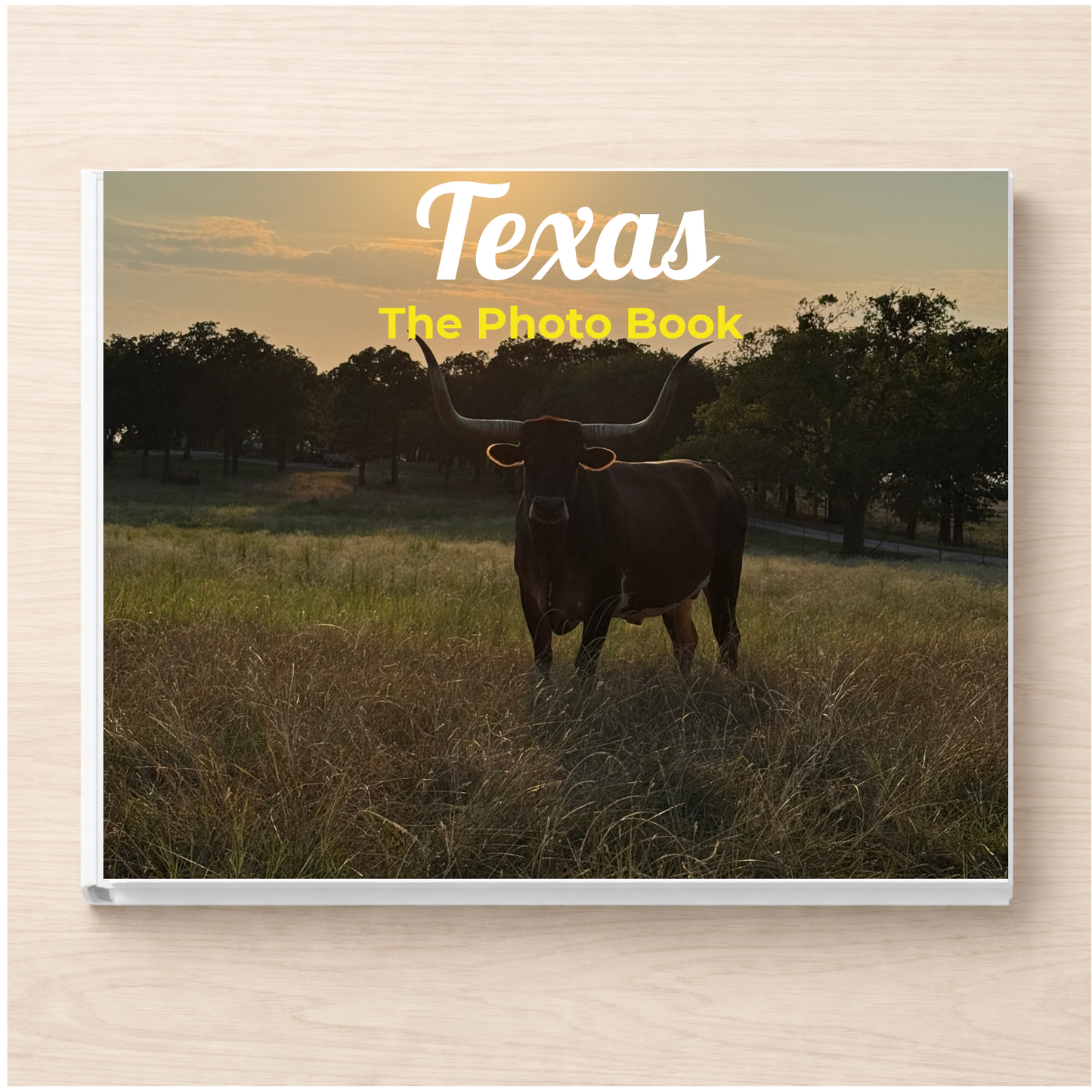 Texas: The Photo Book