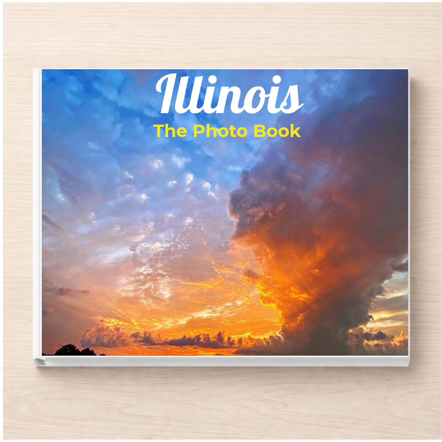 Illinois: The Photo Book
