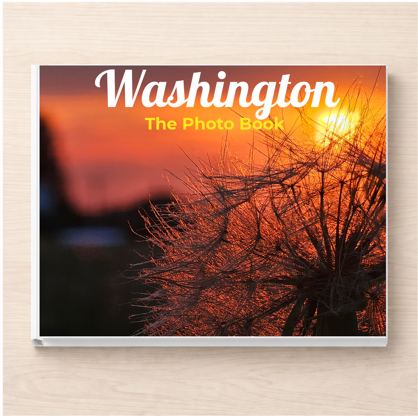 Washington: The Photo Book