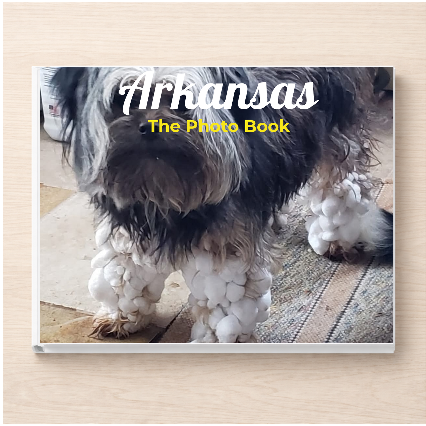 Arkansas: The Photo Book