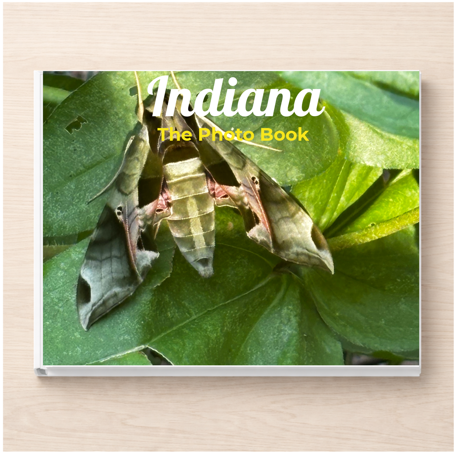 Indiana: The Photo Book