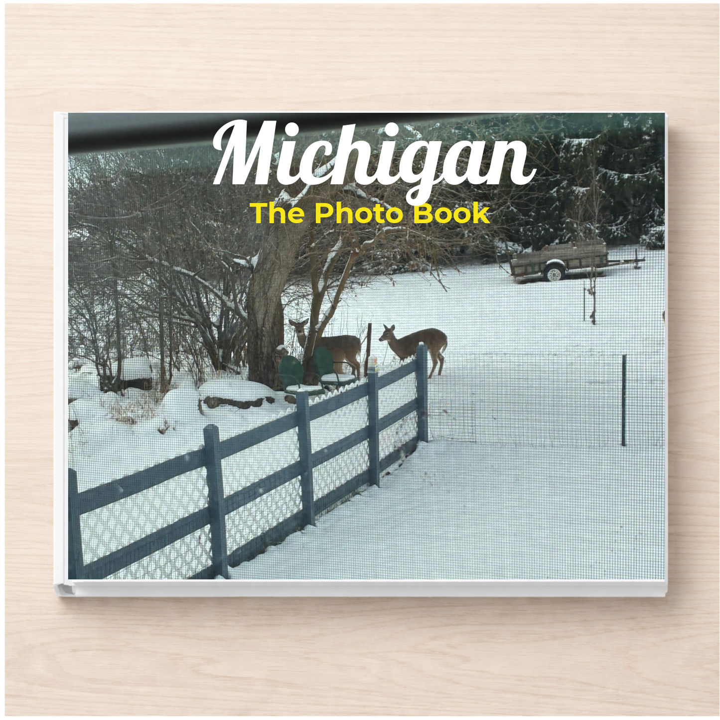 Michigan: The Photo Book