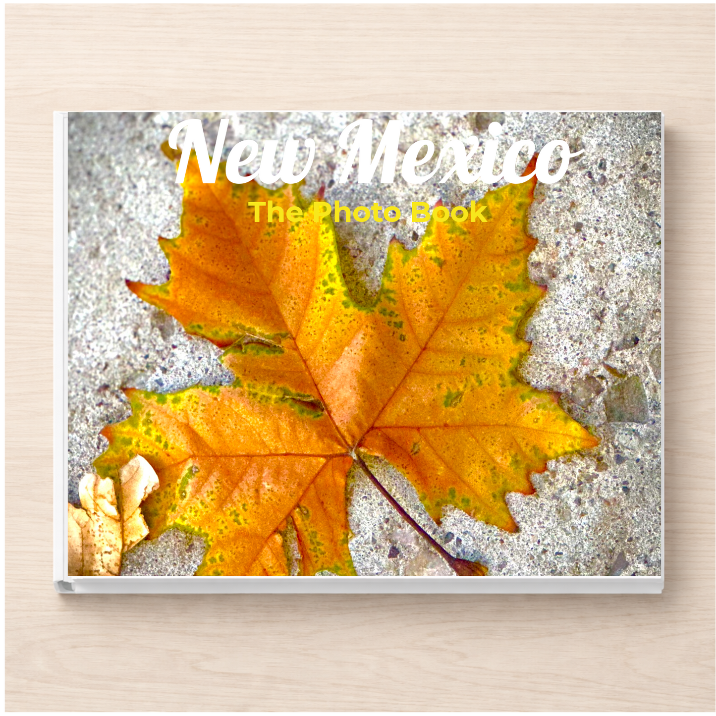 New Mexico: The Photo Book