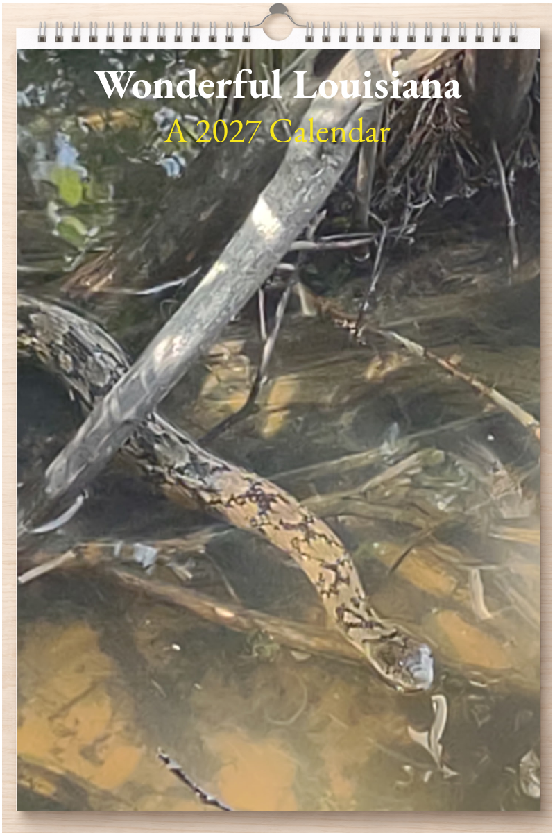 Wonderful Louisiana: A 2027 Calendar