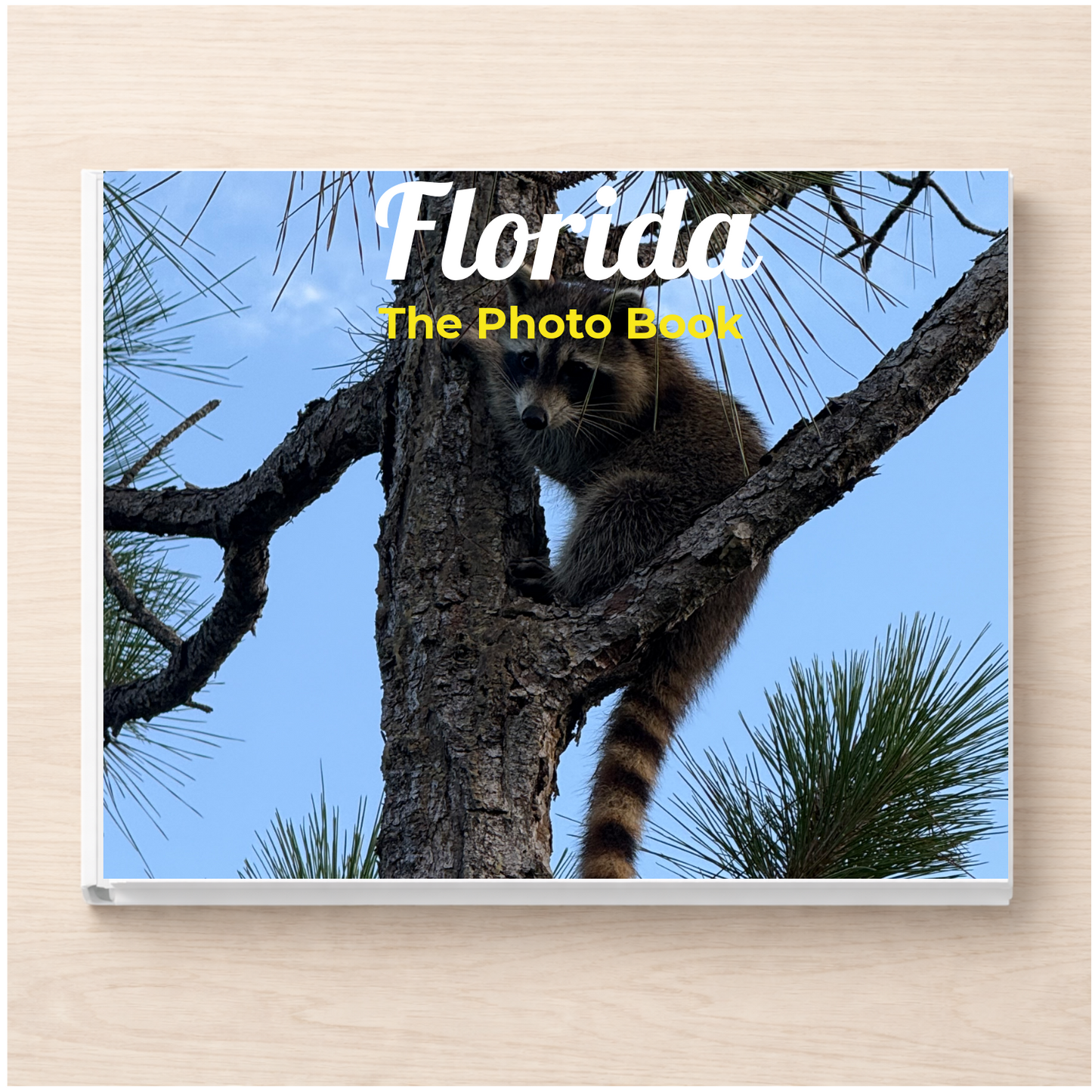 Florida: The Photo Book