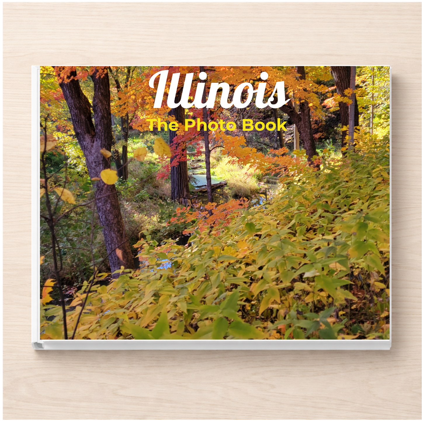 Illinois: The Photo Book