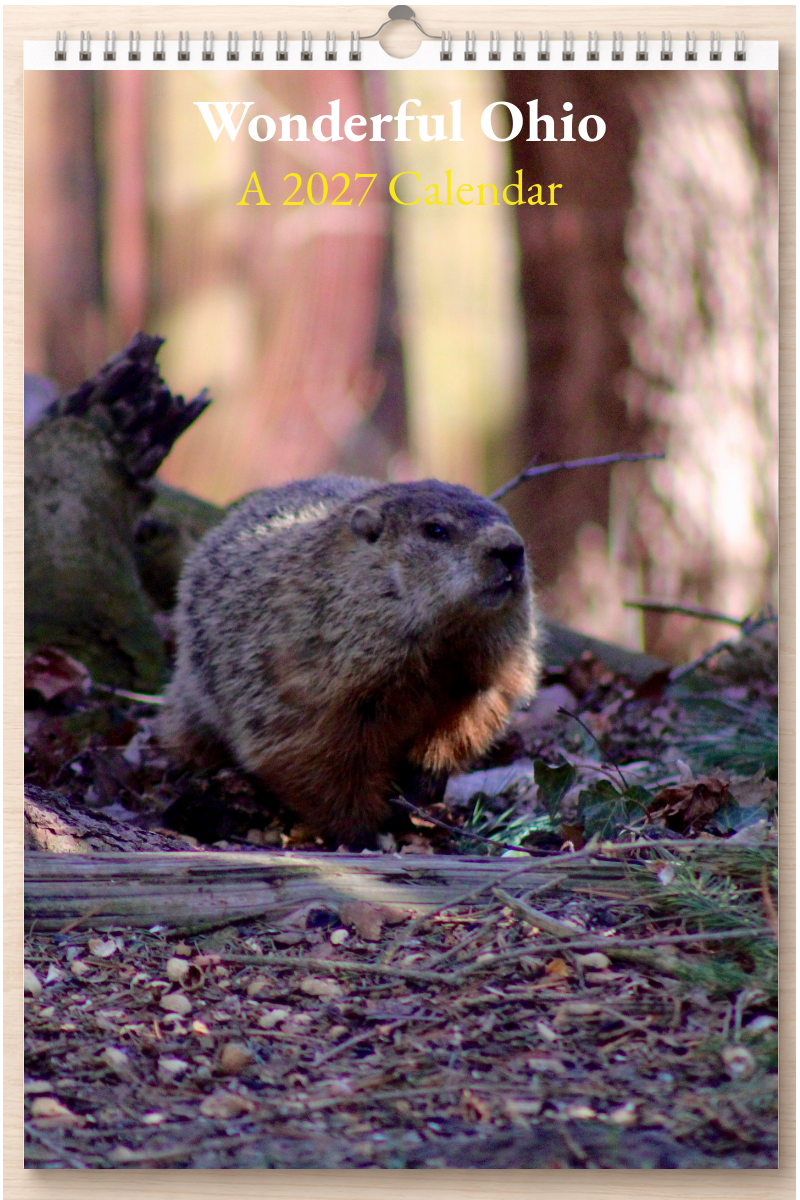 Wonderful Ohio: A 2027 Calendar