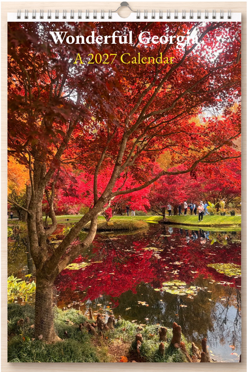 Wonderful Georgia: A 2027 Calendar