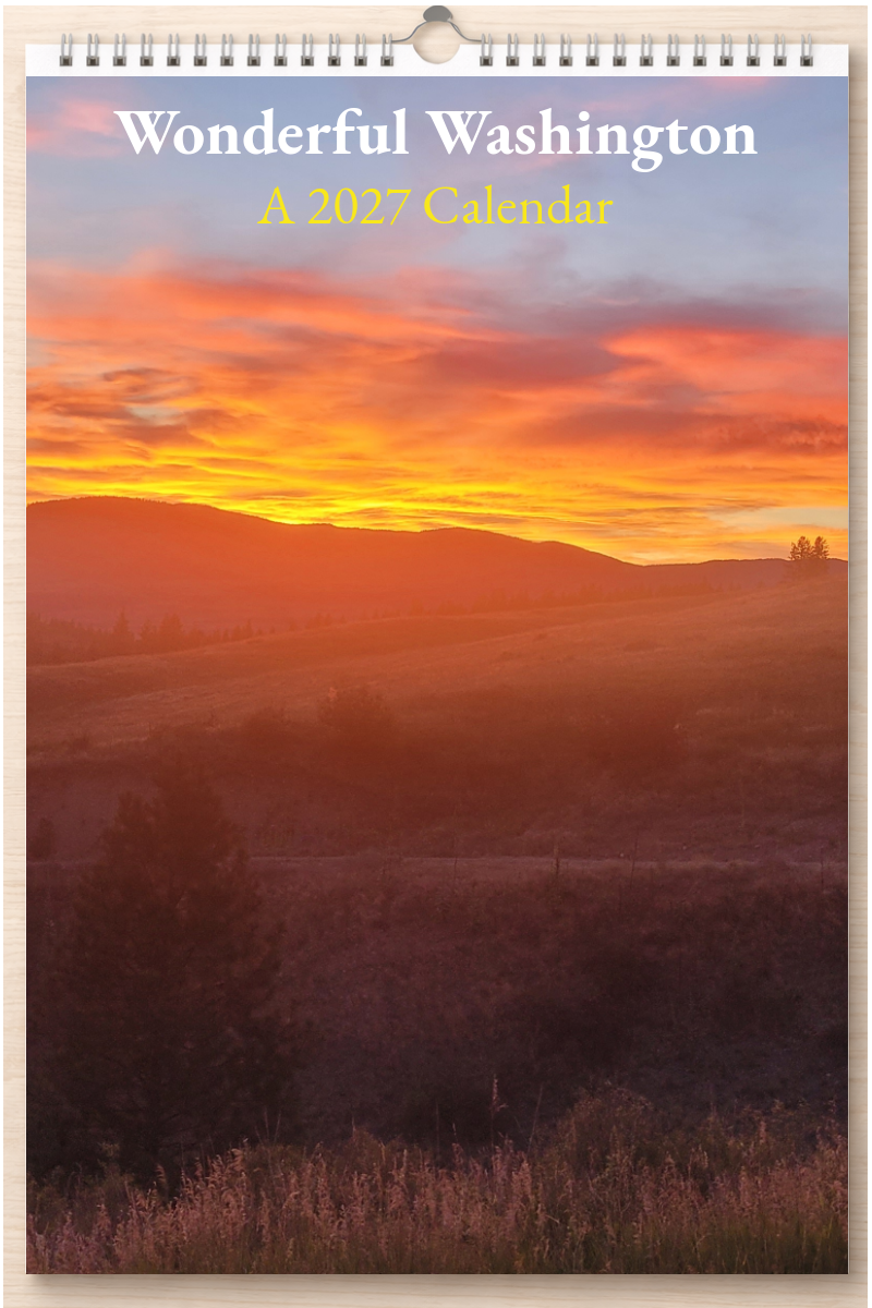 Wonderful Washington: A 2027 Calendar