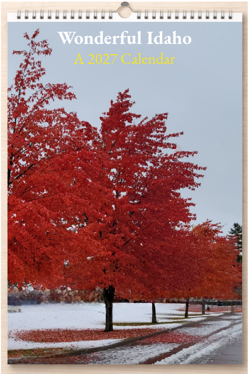 Wonderful Idaho: A 2027 Calendar