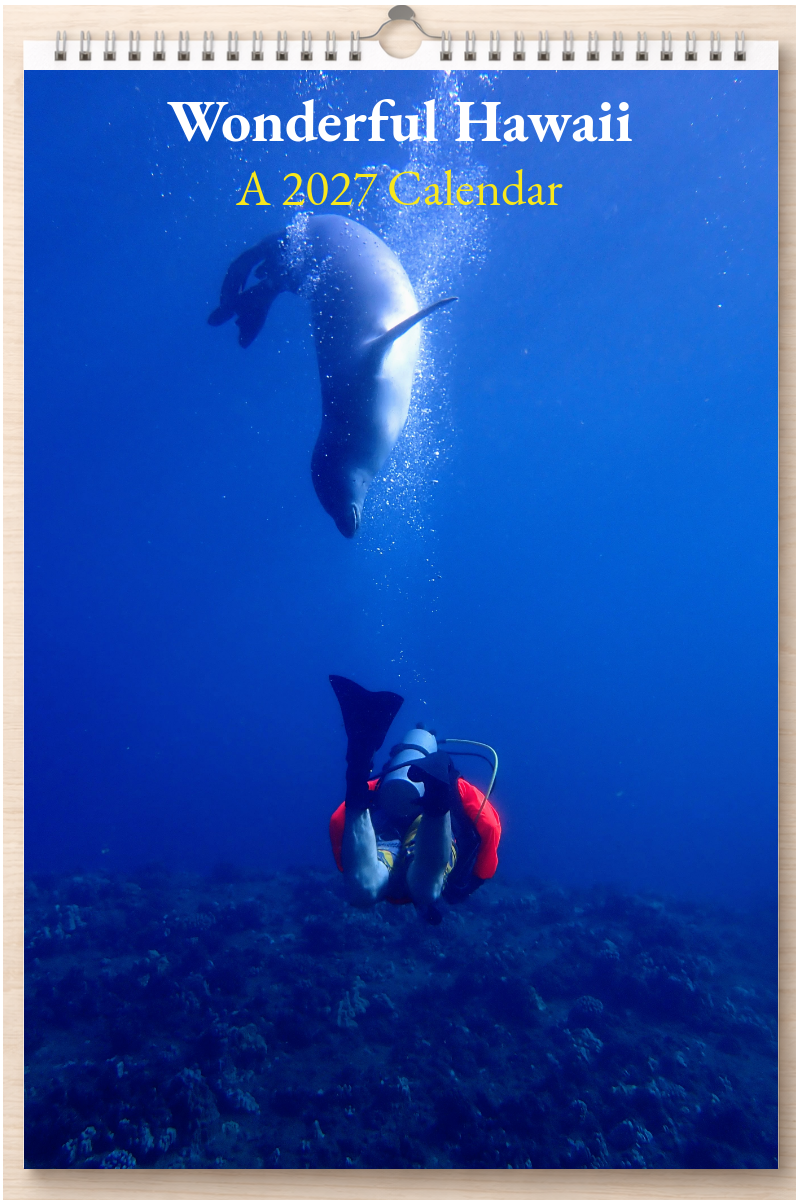 Wonderful Hawaii: A 2027 Calendar