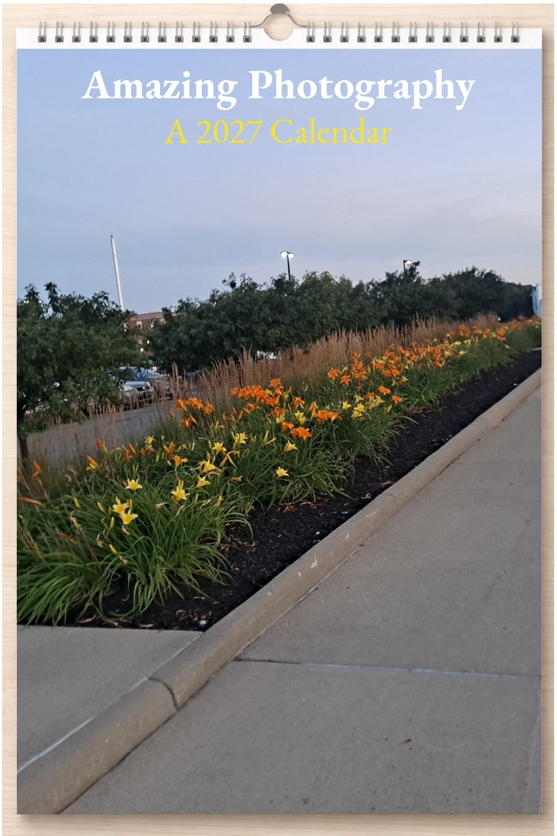 Amazing Photography: A 2027 Calendar