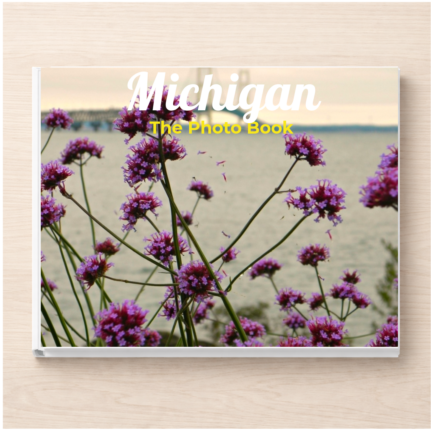 Michigan: The Photo Book