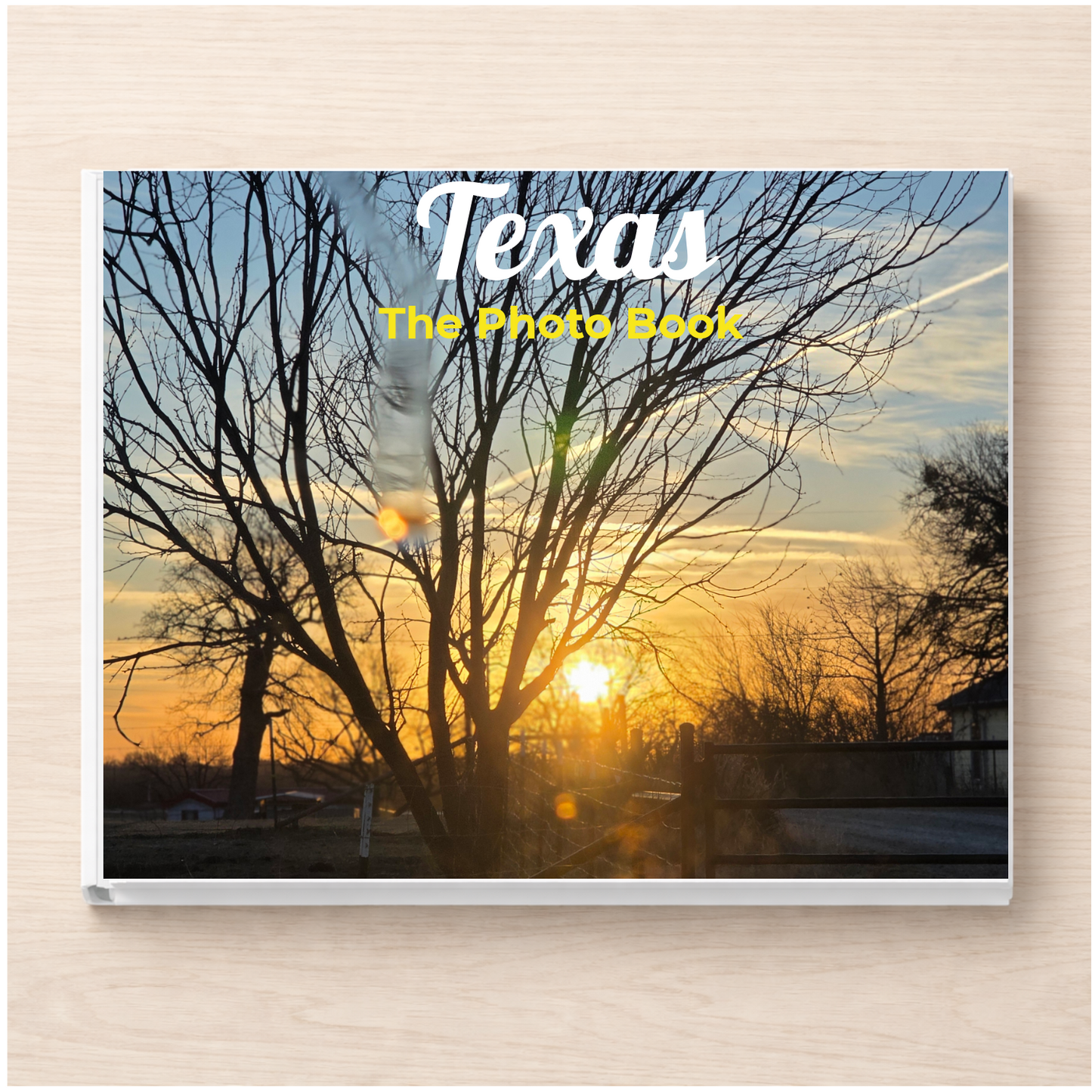 Texas: The Photo Book
