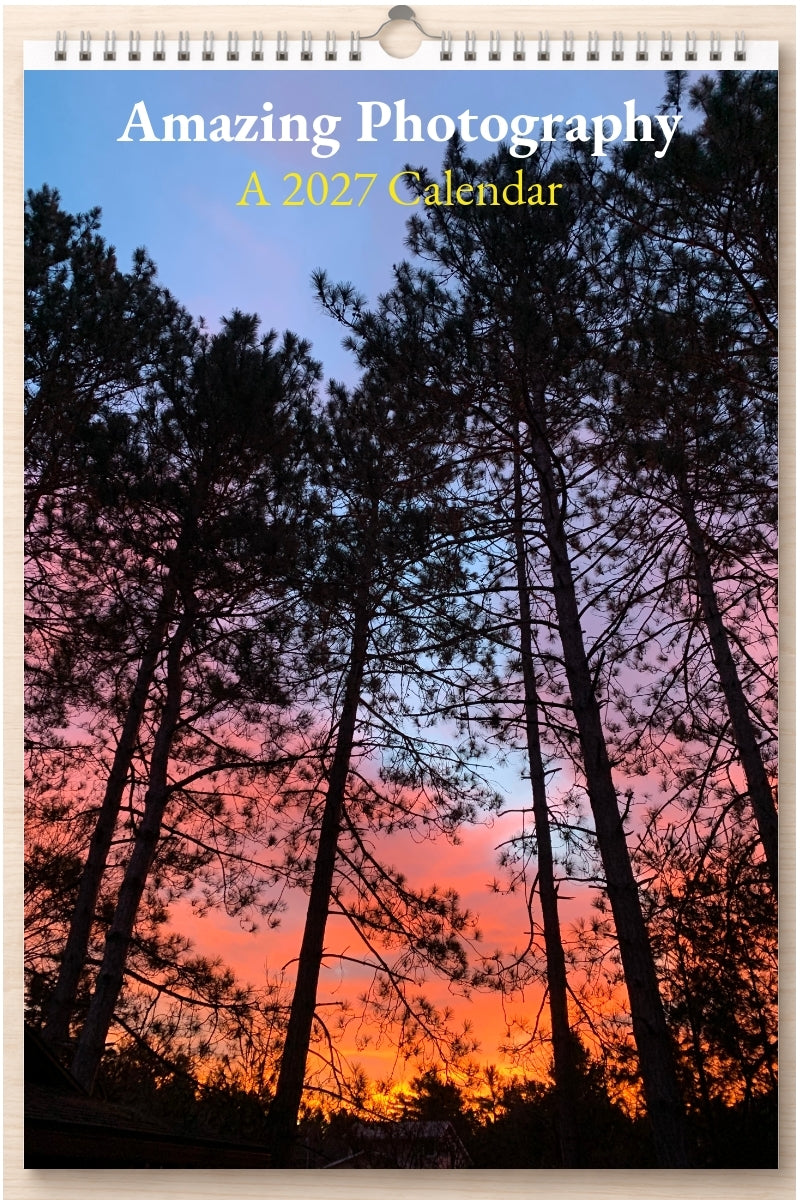 Amazing Photography: A 2027 Calendar