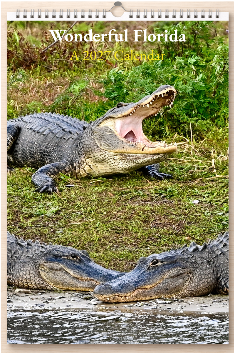 Wonderful Florida: A 2027 Calendar