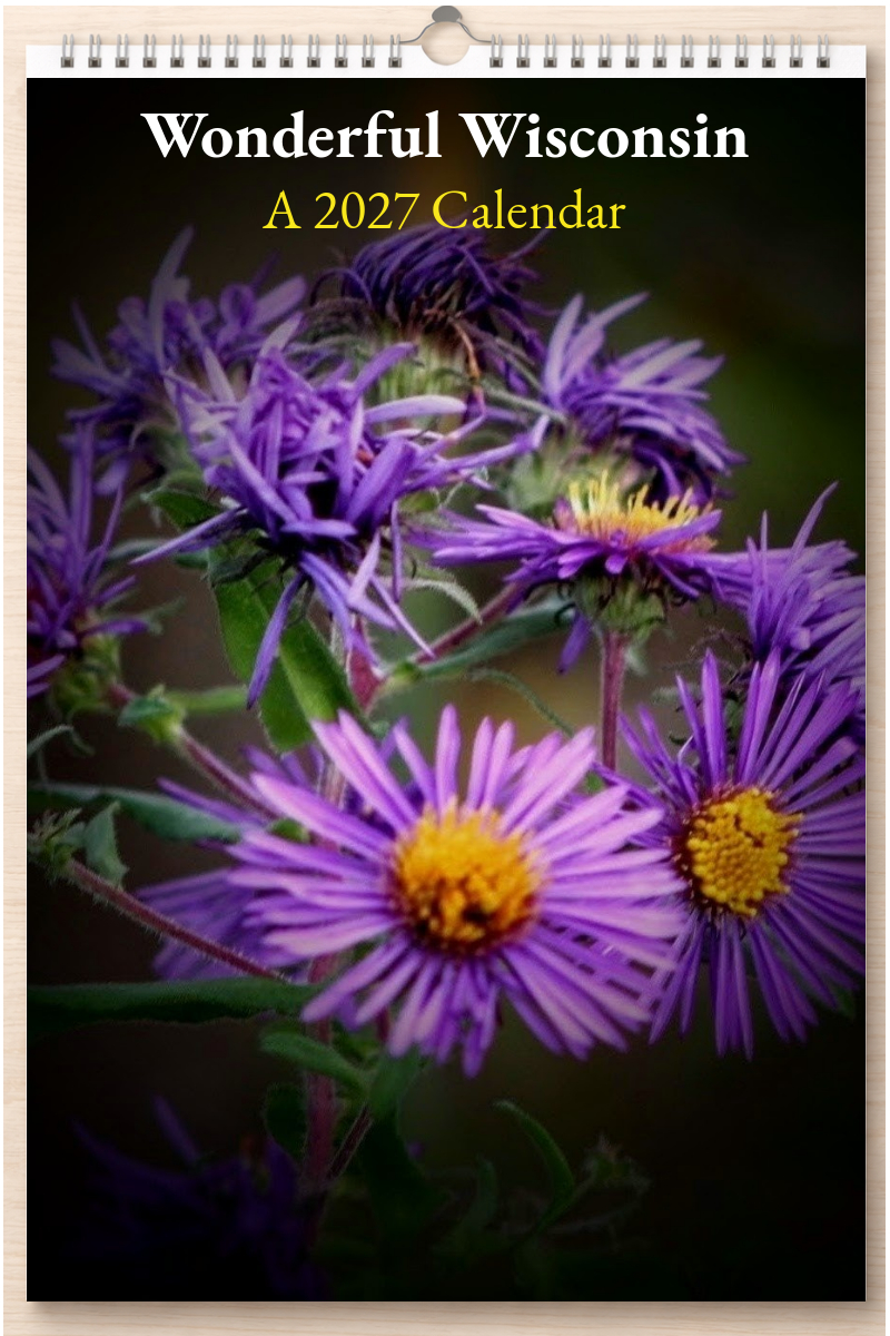 Wonderful Wisconsin: A 2027 Calendar