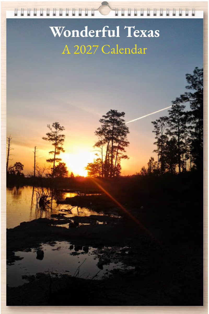 Wonderful Texas: A 2027 Calendar