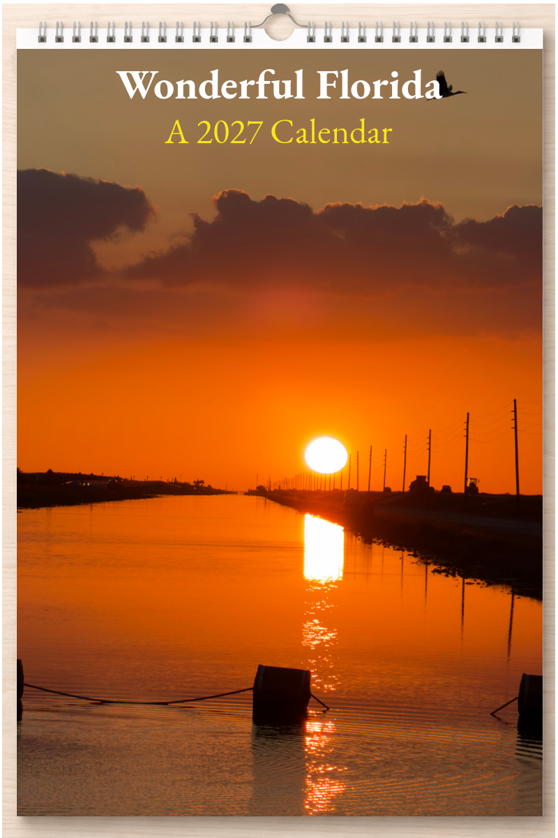 Wonderful Florida: A 2027 Calendar