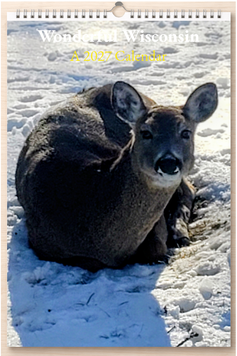 Wonderful Wisconsin: A 2027 Calendar