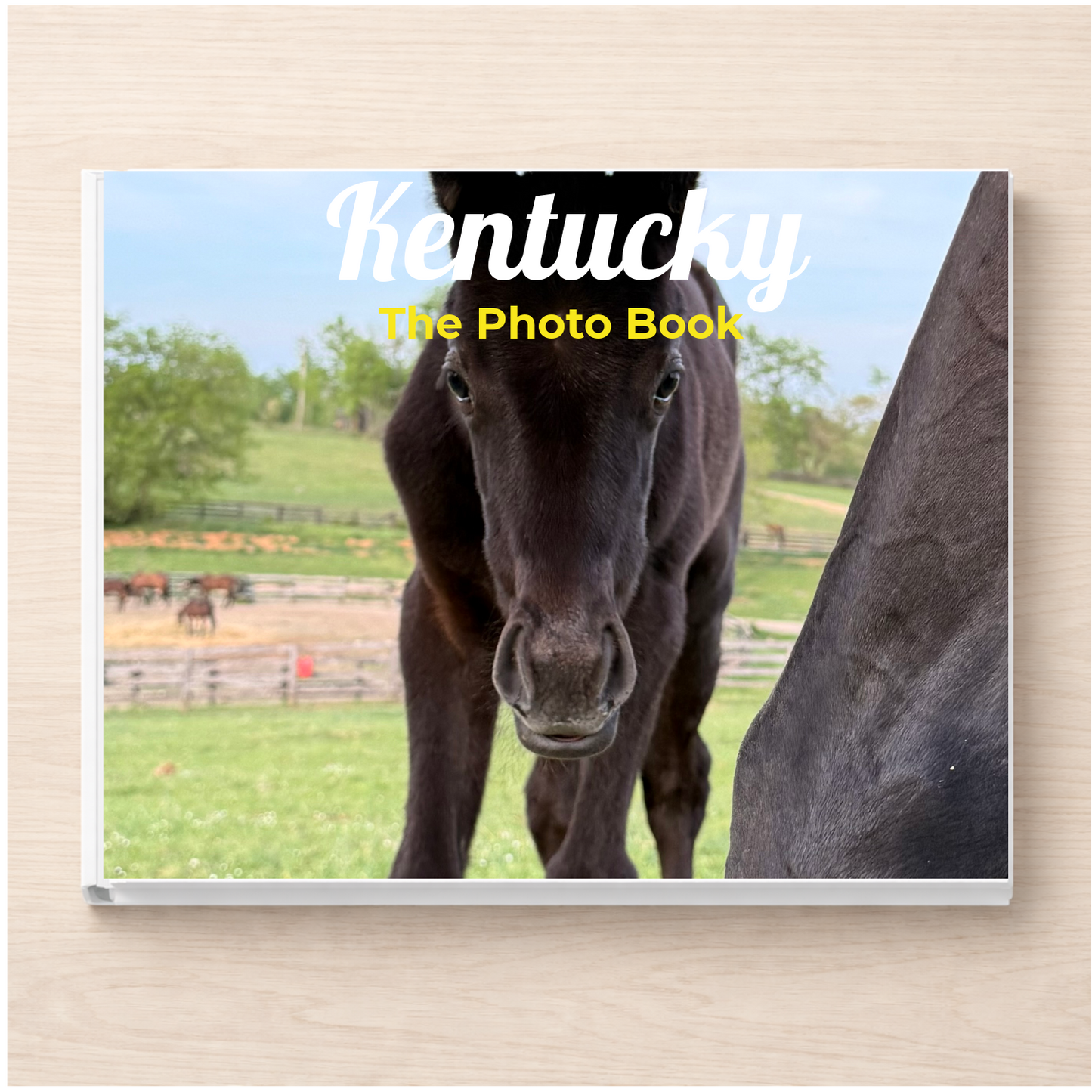 Kentucky: The Photo Book