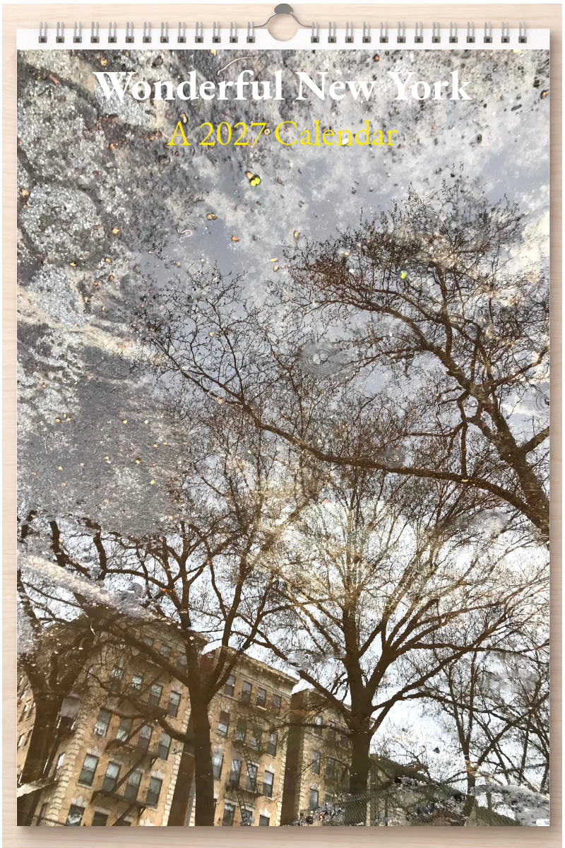 Wonderful New York: A 2027 Calendar