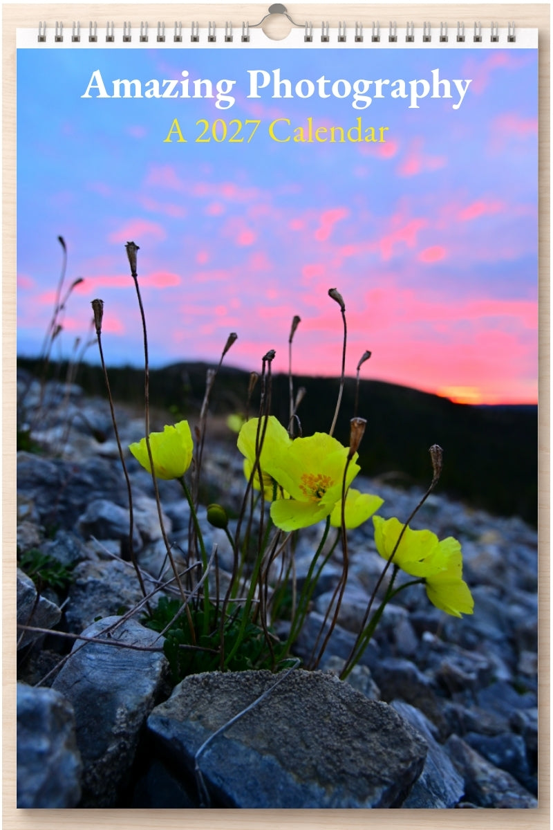 Amazing Photography: A 2027 Calendar