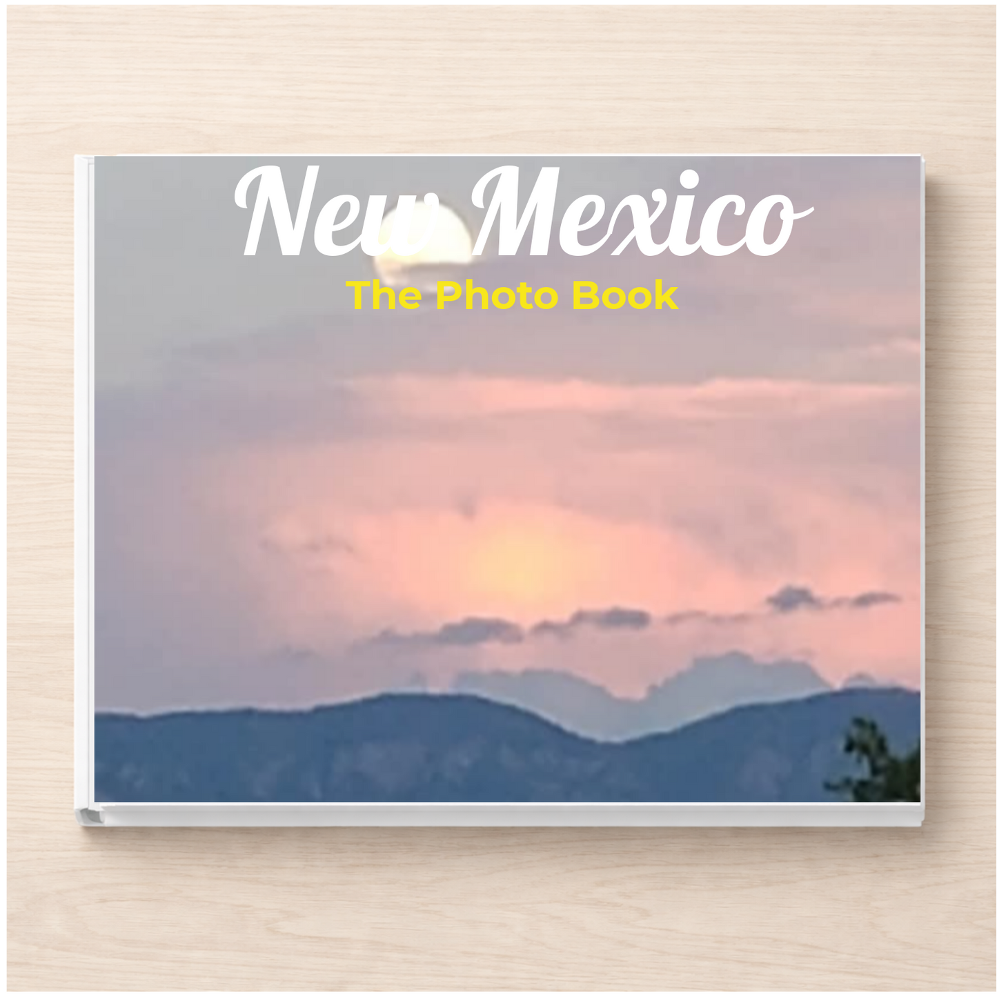 New Mexico: The Photo Book