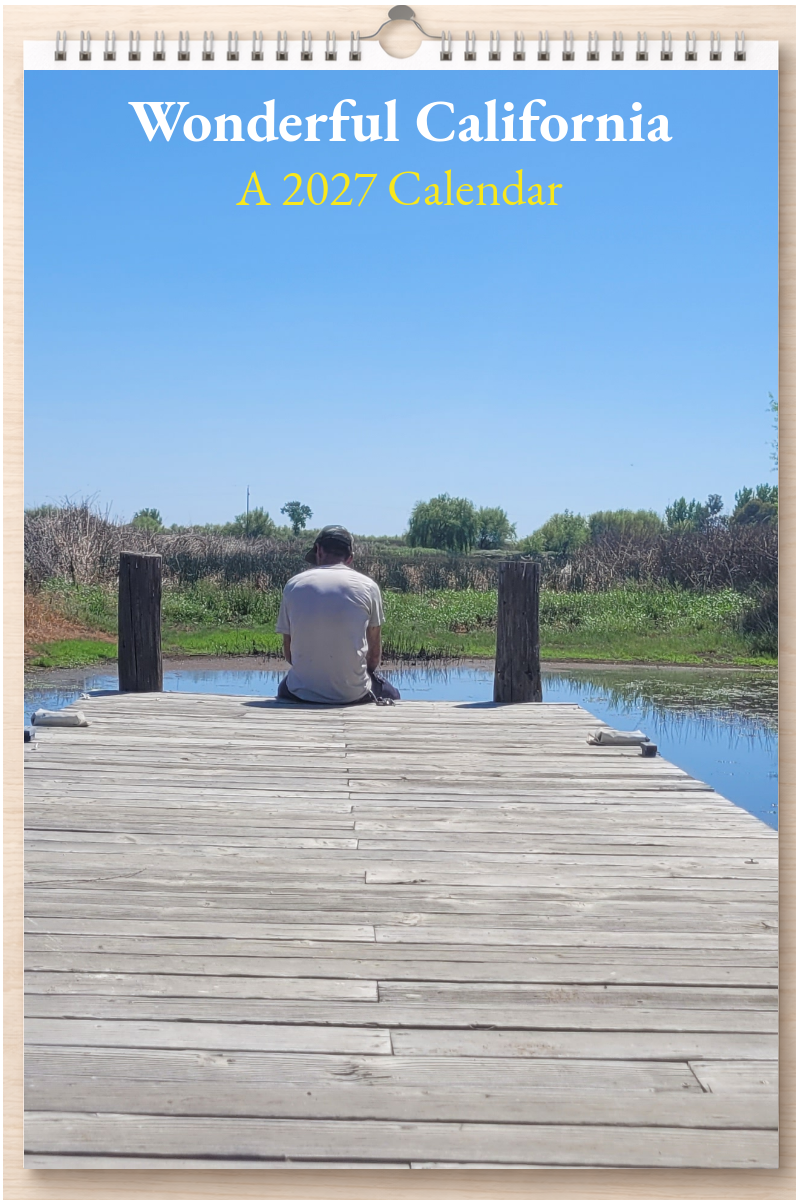 Wonderful California: A 2027 Calendar