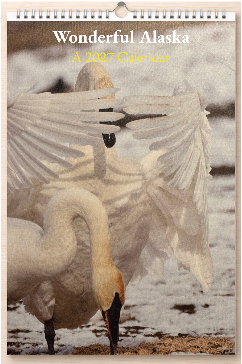 Wonderful Alaska: A 2027 Calendar