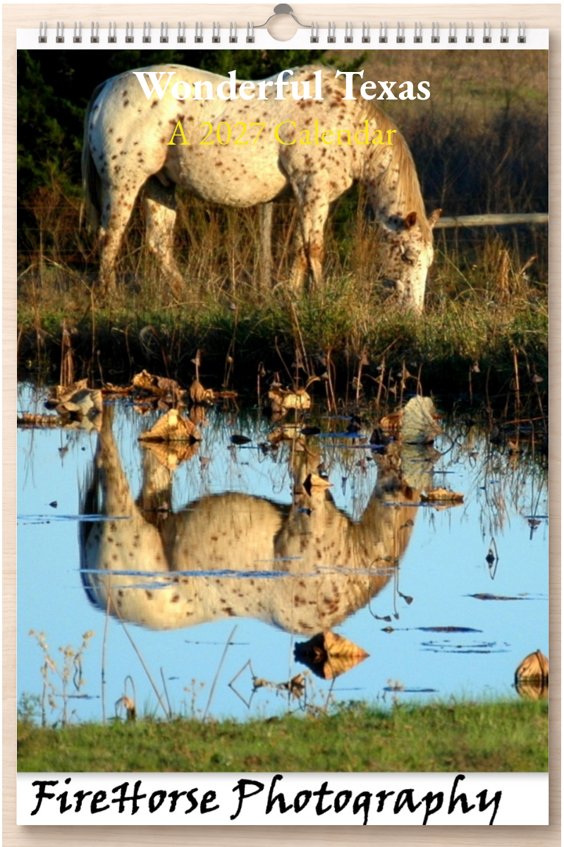 Wonderful Texas: A 2027 Calendar
