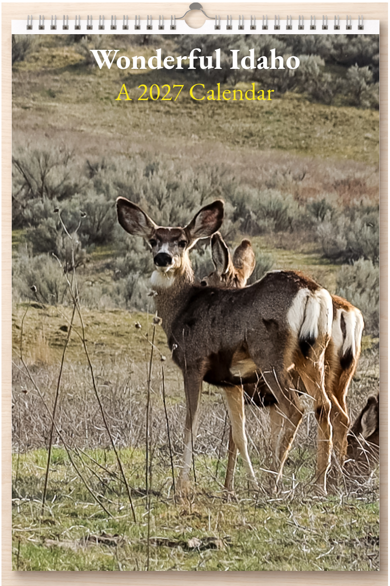Wonderful Idaho: A 2027 Calendar