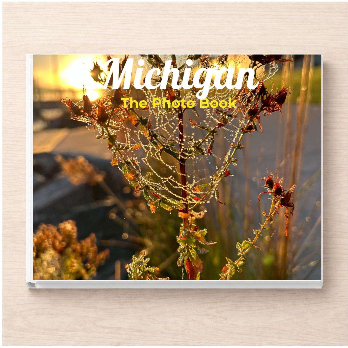 Michigan: The Photo Book