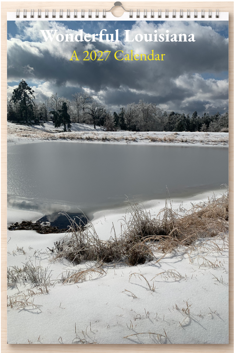 Wonderful Louisiana: A 2027 Calendar