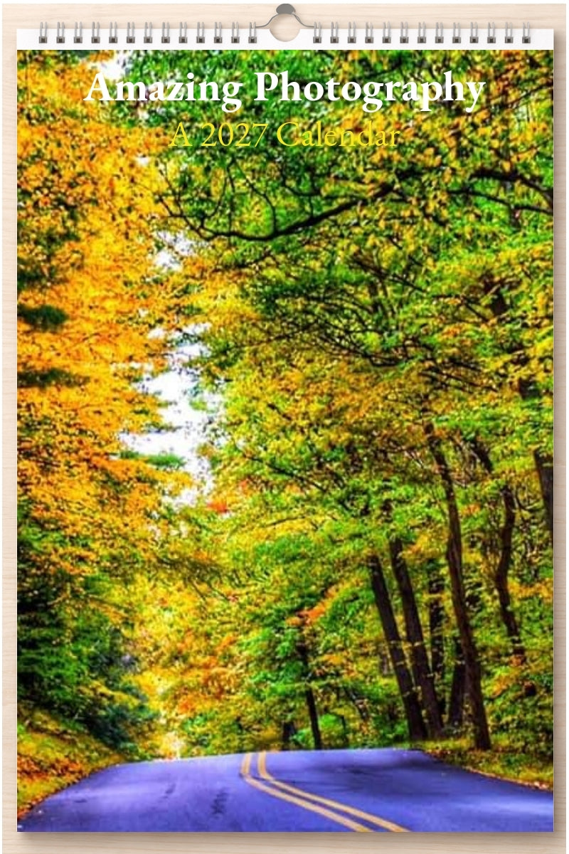 Amazing Photography: A 2027 Calendar