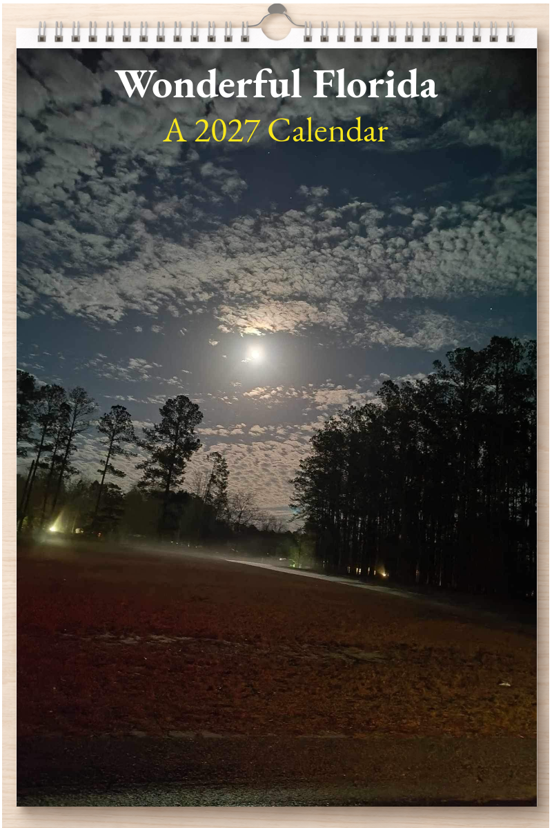 Wonderful Florida: A 2027 Calendar