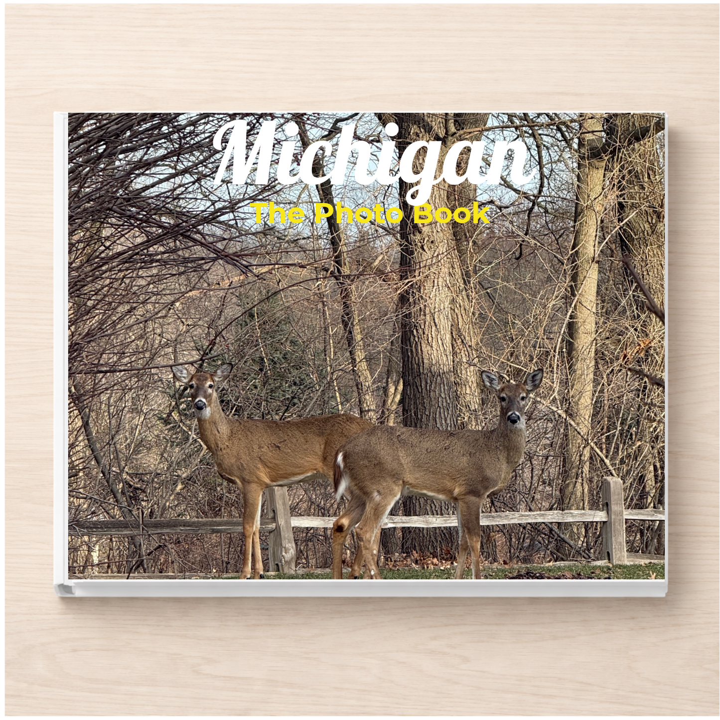 Michigan: The Photo Book