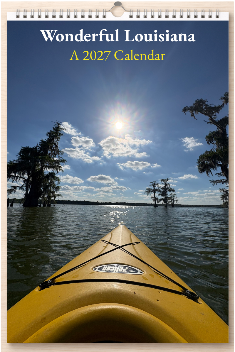 Wonderful Louisiana: A 2027 Calendar
