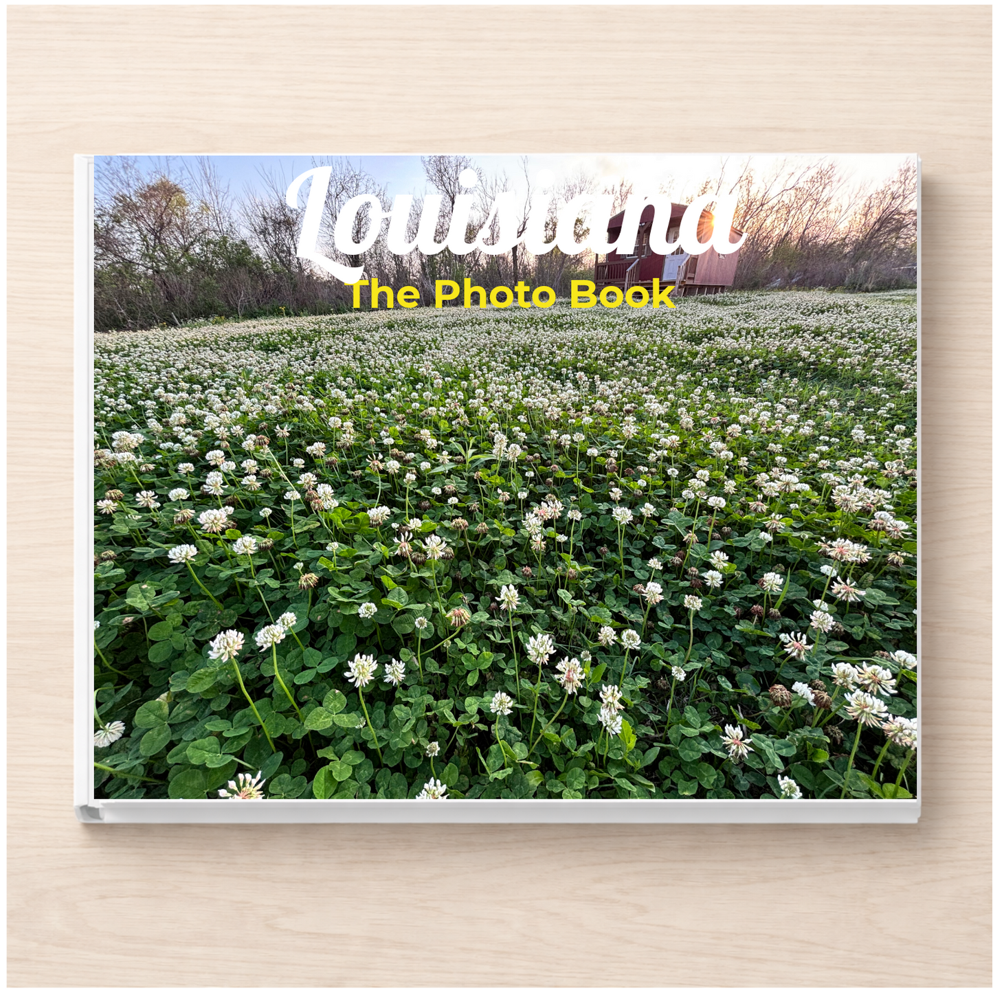 Louisiana: The Photo Book