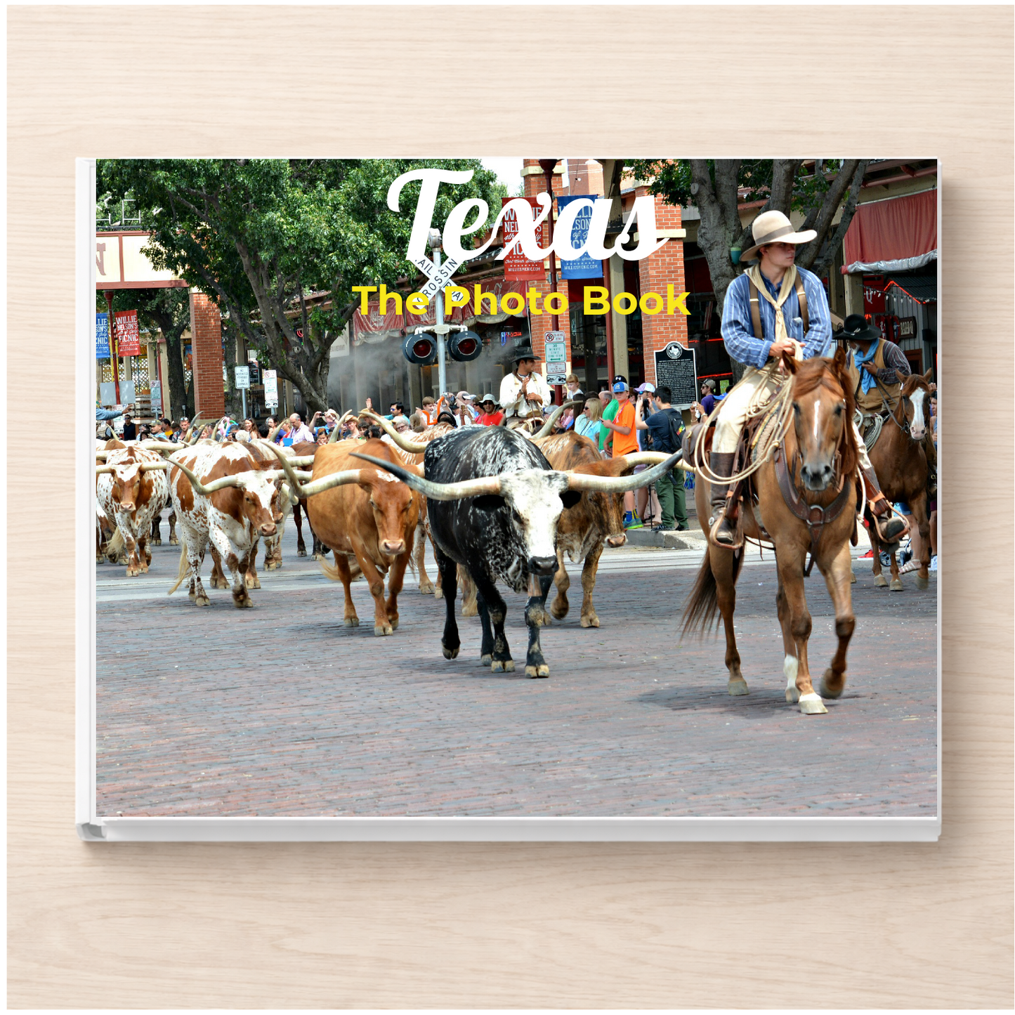 Texas: The Photo Book