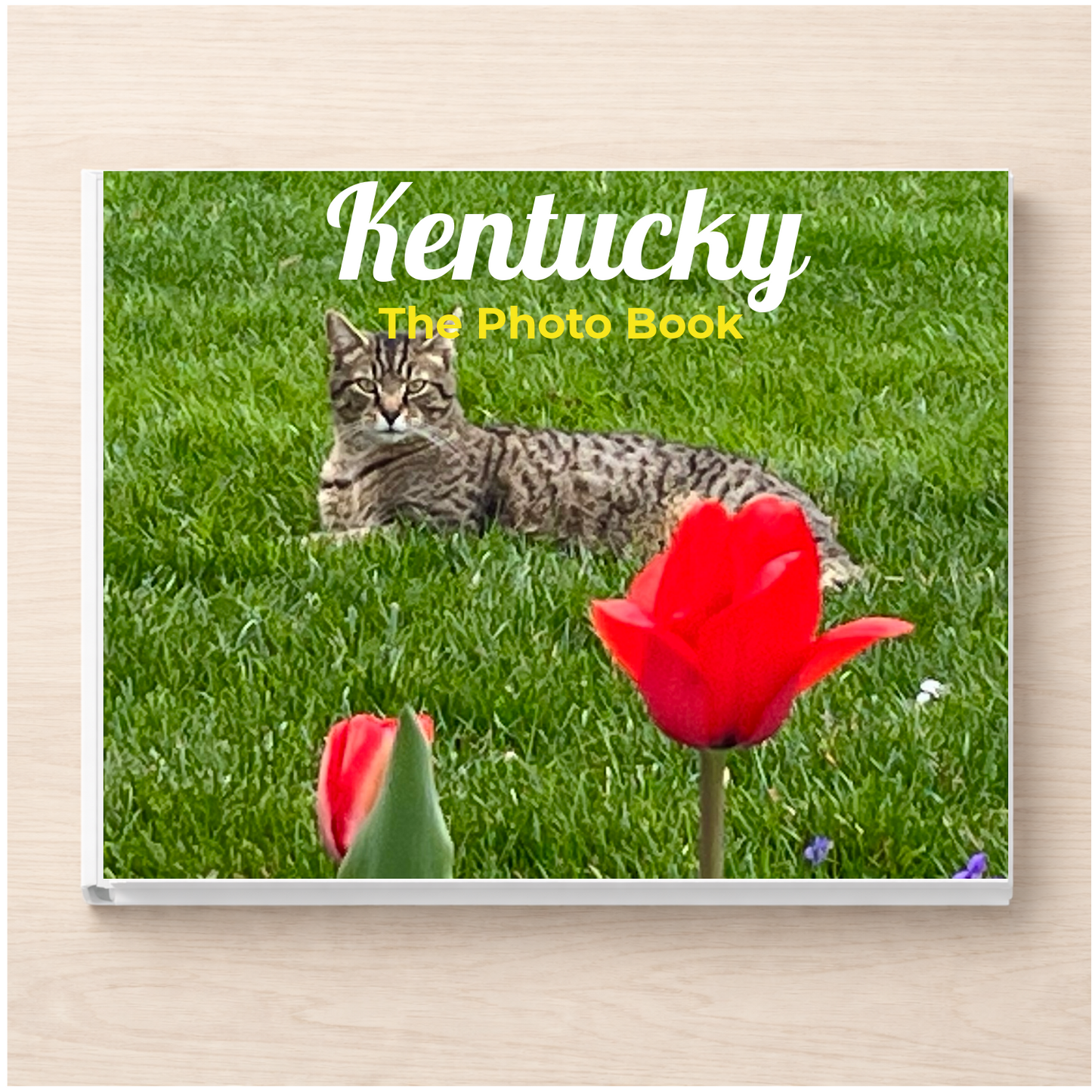 Kentucky: The Photo Book