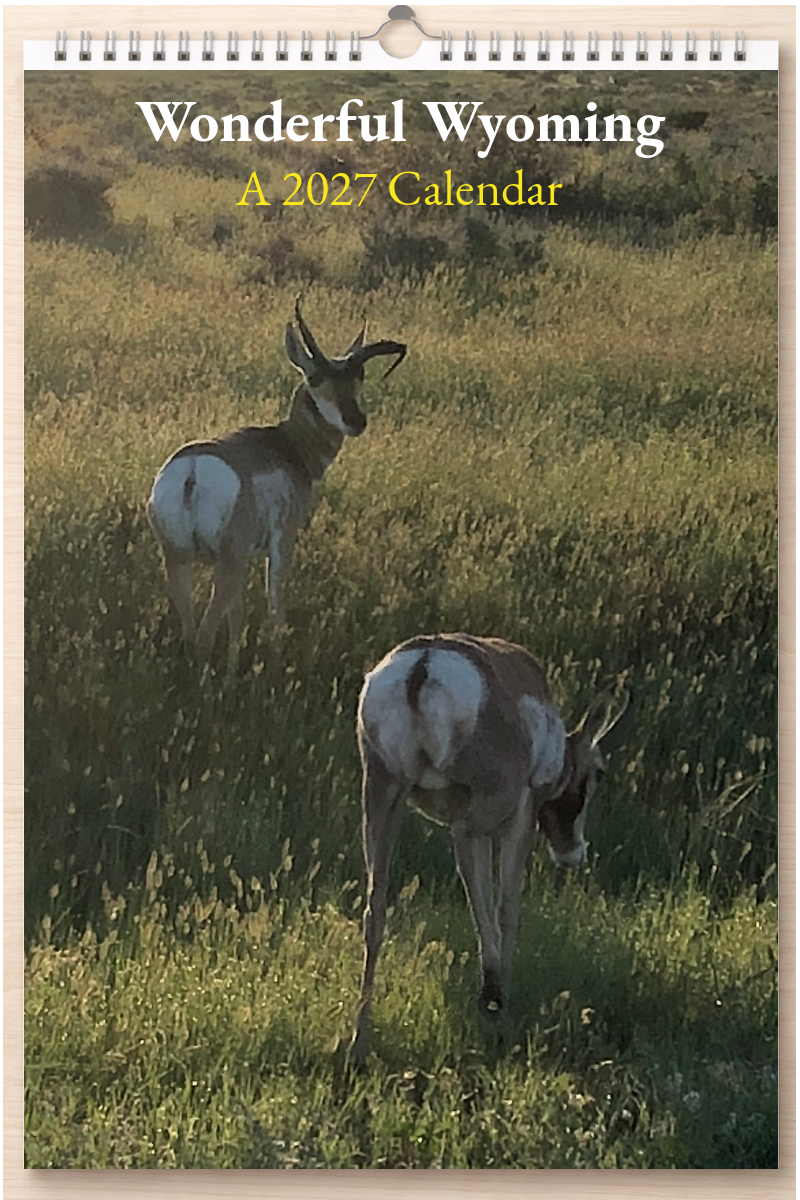 Wonderful Wyoming: A 2027 Calendar