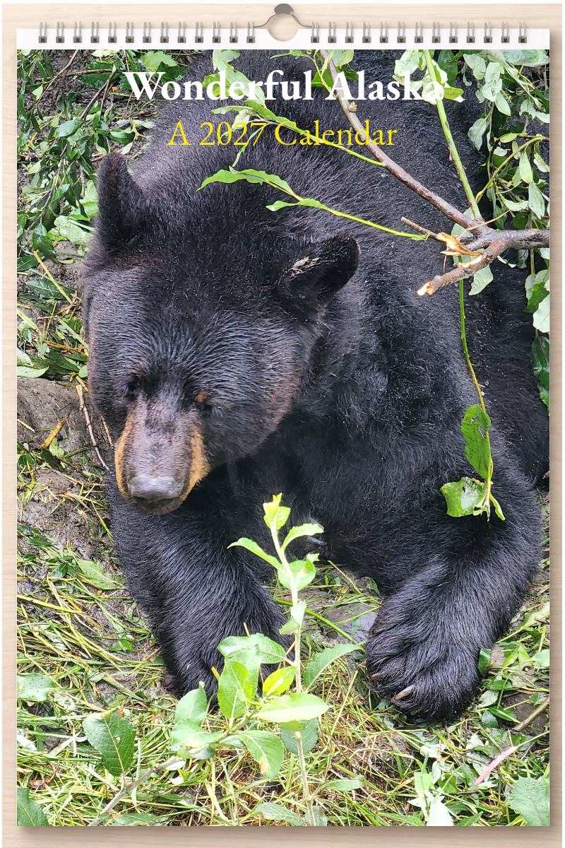 Wonderful Alaska: A 2027 Calendar